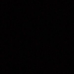 Meet your Posher, Brady